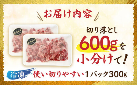 長崎和牛 切り落とし 300g×2パック /長崎県産 長崎和牛 牛肉 和牛 牛 切り落とし / 諫早市 / 有限会社長崎フードサービス [AHDD001]