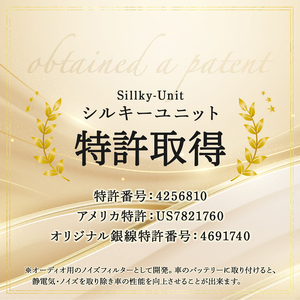 シルキーユニット　シガーライターU3Plus / シガーライター ノイズフィルター 車 自動車 / 諫早市 / オーディオ・ラボ有限会社 [AHDF001] 