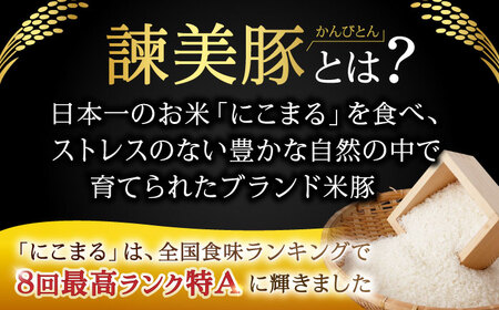 ＜特Aのブランド米で育てた＞諫美豚 豚肉 切り落とし 2.1kg / 豚肉 ぶたにく 切り落とし 豚 ぶた肉 小分けパック 冷凍 豚肉 ぶたにく 切り落とし 豚 ぶた肉 小分けパック 冷凍 / 諫早市 / 株式会社土井農場 [AHAD063]