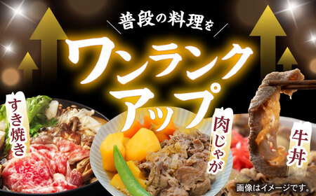 【訳あり】長崎和牛 切り落とし 赤身 モモ バラ 500g(250g×2) / 長崎和牛 A5ランク ワケあり 小間切れ / 諫早市 / 野中精肉店 [AHCW011]