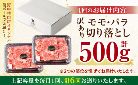 【6回定期便】【訳あり】長崎和牛 切り落とし 赤身 モモ バラ 500g(250g×2) / 長崎和牛 A5ランク ワケあり 小間切れ / 諫早市 / 野中精肉店 [AHCW013]