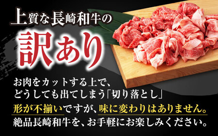【12回定期便】【訳あり】長崎和牛 切り落とし 赤身 モモ バラ 500g(250g×2) / 長崎和牛 A5ランク ワケあり 小間切れ / 諫早市 / 野中精肉店 [AHCW014]