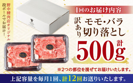 【12回定期便】【訳あり】長崎和牛 切り落とし 赤身 モモ バラ 500g(250g×2) / 長崎和牛 A5ランク ワケあり 小間切れ / 諫早市 / 野中精肉店 [AHCW014]