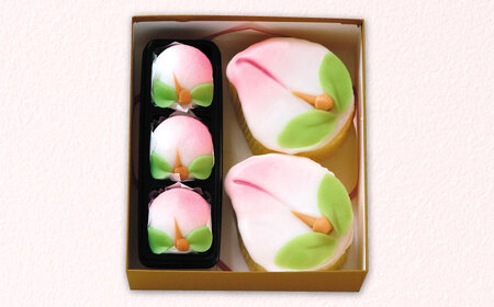 【長崎縁起菓子】桃カステラ2個・桃まんじゅう3個 詰合せ（小）/ カステラ かすてら まんじゅう 桃の節句 ひな祭り / 諫早市 / 株式会社梅月堂 [AHBN007]