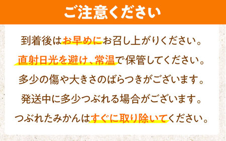 伊木力温州早生みかん10kg(ご家庭用、箱入り) / みかん 温州みかん 柑橘 蜜柑 ミカン 果物 / 諫早市 / 末永果樹園 [AHBD002]