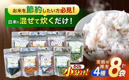 【風味付した裸麦】 麦飯用バーリースター 60g×8個 / 麦 むぎ はだか麦 雑穀 雑穀米 麦ごはん 食物繊維 長崎県産 米 こめ コメ ※ / 諫早市 / 有限会社伊東精麦 [AHBU004]