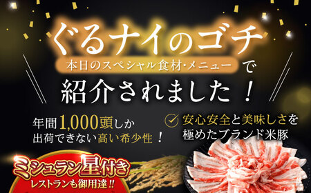 【ふるなびWEEK対象】諫美豚バラ肉 800g / 豚バラ [AHAD075] FN-Limited-PR