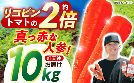 甘みと栄養たっぷり！】 真っ赤な人参 「紅天神」 10kg / にんじん 