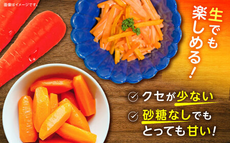 甘みと栄養たっぷり！】 真っ赤な人参 「紅天神」 10kg / にんじん 