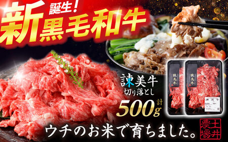 【特Aのブランド米で育てた】諫美牛 切り落とし 500g(250g×2) / 牛肉 ぎゅうにく 和牛 牛 肉 国産 切り落とし 切り落し 切りおとし / 諫早市 / 株式会社土井農場[AHAD090]