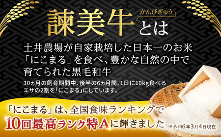 【特Aのブランド米で育てた】諫美牛 切り落とし 500g(250g×2) / 牛肉 ぎゅうにく 和牛 牛 肉 国産 切り落とし 切り落し 切りおとし / 諫早市 / 株式会社土井農場[AHAD090]