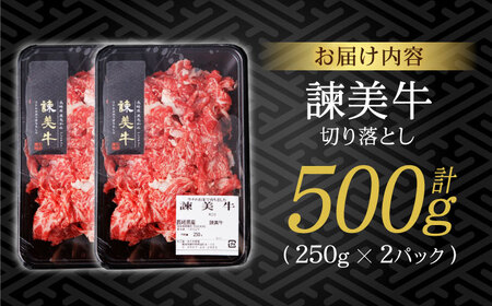 【特Aのブランド米で育てた】諫美牛 切り落とし 500g(250g×2) / 牛肉 ぎゅうにく 和牛 牛 肉 国産 切り落とし 切り落し 切りおとし / 諫早市 / 株式会社土井農場[AHAD090]