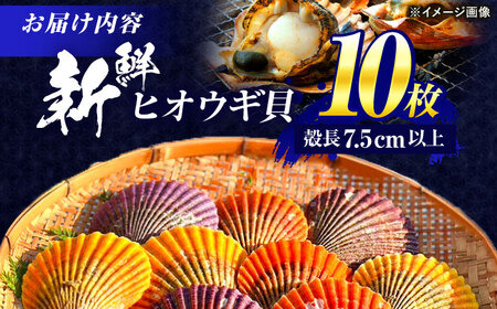 【ホタテ以上の旨味！】ヒオウギ貝 10枚(殻長7.5cm以上) / 貝 かい 魚介 ぎょかい 海鮮 かいせん 海産物 / 諫早市 / 橘湾中央漁業協同組合 [AHDP001]