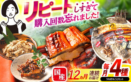 【12回定期便】【諫早淡水】うなぎまるごとセット / うなぎ 蒲焼 白焼き たれ 肝 / 諫早市 / 諫早淡水株式会社 [AHAT017]