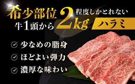 【柔らかさとコクの融合！】長崎和牛 A5 ハラミ 300g / 国産 牛肉 和牛 焼肉 はらみ / 諫早市 / 野中精肉店 [AHCW115]