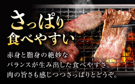 【柔らかさとコクの融合！】長崎和牛 A5 ハラミ 300g / 国産 牛肉 和牛 焼肉 はらみ / 諫早市 / 野中精肉店 [AHCW115]