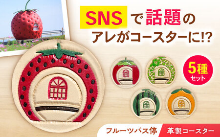 フルーツバス停コースターセット / 小物 こもの 雑貨 ざっか カラフル グラス コップ/artigiano maldestro [AHEX003]