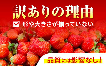 【訳あり】【とろける甘さ、弾ける果汁！】いちご「ゆめのか」 S-Lサイズ 1.8kg / 訳あり 訳あり商品 訳あり果物 果物訳あり いちご イチゴ 苺 イチゴジャム / 諫早市 / むらたサービス [AHFA003]