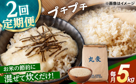 【2回定期便】長崎県産 丸麦 5kg / 麦 むぎ 雑穀 雑穀米 麦ごはん 麦飯 麦みそ 食物繊維 / 諫早市 / 有限会社伊東精麦 [AHBU013]