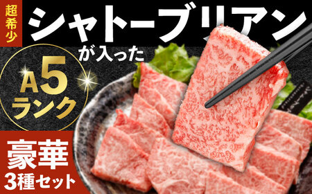 〈シャトーブリアン入り〉希少部位 焼肉 3種食べ比べセット 700g(シャトーブリアン200g・サーロイン200g・ランプ300g)  / 長崎和牛 国産 牛肉 和牛 a5 焼肉 やきにく 焼き肉用 セット シャトーブリアン サーロイン ランプ / 諫早市 / 野中精肉[AHCW145]