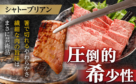 〈シャトーブリアン入り〉希少部位 焼肉 3種食べ比べセット 700g(シャトーブリアン200g・サーロイン200g・ランプ300g)  / 長崎和牛 国産 牛肉 和牛 a5 焼肉 やきにく 焼き肉用 セット シャトーブリアン サーロイン ランプ / 諫早市 / 野中精肉[AHCW145]