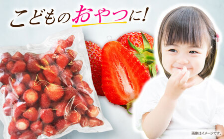 【業務用】大容量 長崎いちご 4袋セット / 冷凍 冷凍フルーツ いちご イチゴ 苺 2kg / 諫早市 / エスジーエス株式会社[AHEQ005]