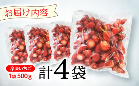 【業務用】大容量 長崎いちご 4袋セット / 冷凍 冷凍フルーツ いちご イチゴ 苺 2kg / 諫早市 / エスジーエス株式会社[AHEQ005]