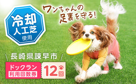 ドッグラン利用券(12回分) / ドッグラン 犬 施設 利用券 利用チケット 回数券 ペット / 諫早市 / 株式会社美泉[AHAP042]