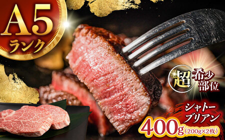 【唯一無二の贅沢！】長崎和牛 シャトーブリアン 400g(200g×2) / ヒレ ひれ ヒレステーキ ステーキ すてーき しゃとーぶりあん / 諫早市 / 野中精肉店[AHCW152]