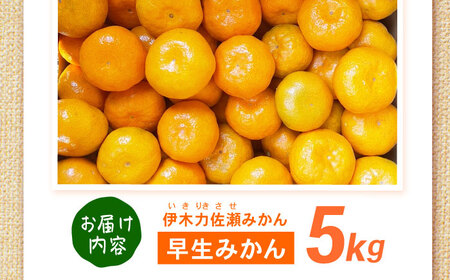 早生みかん　5kg / 諫早市 /伊佐農園[AHFI011]