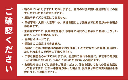 早生みかん　5kg / 諫早市 /伊佐農園[AHFI011]