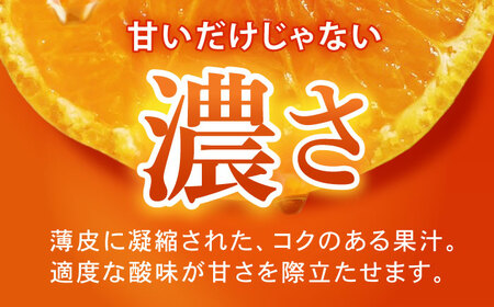 早生みかん　10kg / 諫早市 /伊佐農園[AHFI012]