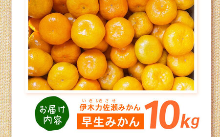 早生みかん　10kg / 諫早市 /伊佐農園[AHFI012]