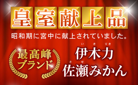 伊木力みかん　10kg / 諫早市 /伊佐農園[AHFI016]