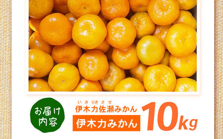 伊木力みかん　10kg / 諫早市 /伊佐農園[AHFI016]