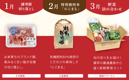 【諫早市市制施行20周年特別企画】【12回定期便】バラエティ定期便 諫早市人気返礼品オールスター / 豚肉 米 野菜 ローストビーフ スイーツ うなぎ ゼリー カステラ 卵 餃子 みかん ステーキ / 諫早市[AHDC041]