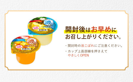 たらみ たっぷり290g 濃い0kcal (2種×各18個) 36個セット（完熟マンゴー・パイナップル）/ カロリーゼロ ゼリー ぜりー フルーツゼリー 果物 くだもの フルーツ ふるーつ パインナップル パイン パイナップル マンゴー 完熟マンゴー / 諫早市 / 株式会社たらみ[AHBR053]