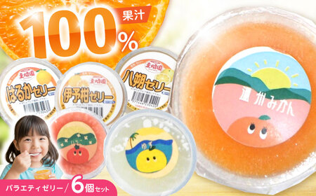 バラエティゼリー 6個セット / ゼリー ぜりー 果汁ゼリー 柑橘 八朔 スイートスプリング はるか いちご ゆず 温州みかん / 諫早市 / 圭昭園　[AHAZ011]