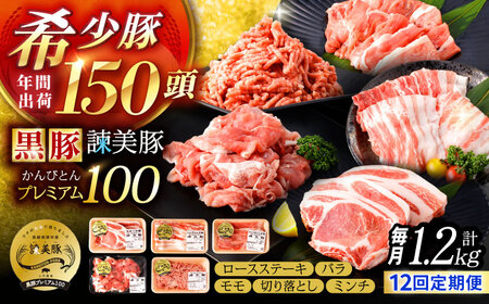 【12回定期便】＜特Aのブランド米で育てた＞黒豚諫美豚プレミアム100 5種セット 計1.2kg( ロースステーキ バラ モモ 切り落とし ひき肉 ) / 豚肉 ロース ステーキ 挽き肉 ミンチ / 諫早市 / 株式会社土井農場[AHAD113]