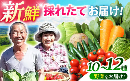 【年内配送】(12/23入金分まで)諫早のんのこ彩菜・詰め合わせ 10〜12品目程度 / 季節 旬 野菜 やさい 春野菜 夏野菜 秋野菜 セット 詰め合わせ / 諫早市 / 肥前グローカル株式会社 [AHDI005]