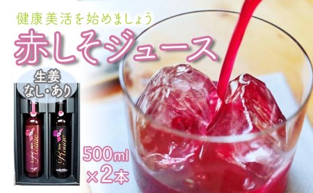 【最速発送】シソルージュ500ml ＆ シソルージュジンジャー500ml セット / 紫蘇 しそ シソ 赤しそ しそジュース / 松尾農園 [AHAY001] スピード 最短 最速 発送