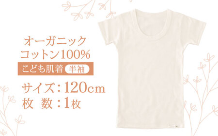 オーガニックコットンこども肌着半袖(120cmサイズ)・日本アトピー協会推薦品 / シャツ 新生児用 赤ちゃん 綿 コットン / 諫早市 / 株式会社美泉 [AHAP023]