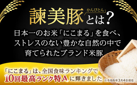 自家栽培の米で育てた諫美豚とその堆肥で育てた循環農法米お試しセット / 諫美豚 米 お米 ロースステーキ しゃぶしゃぶ / 諫早市 / 株式会社土井農場 [AHAD048]