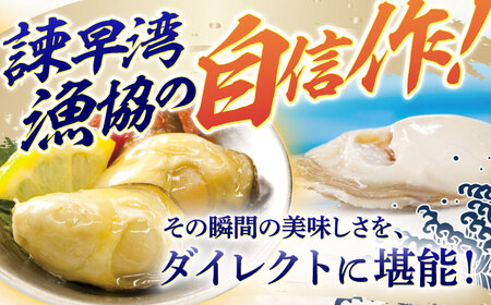 【長崎県小長井町産】「華漣」オリーブオイル漬3瓶 / 牡蠣 かき カキ オリーブ オリーブオイル / 諫早市 / 諫早湾漁業協同組合  [AHBJ003]