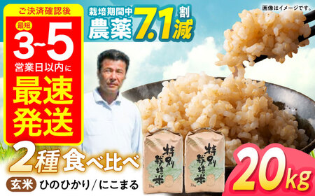 【R7年産】九州のこだわり玄米 食べ比べ (10kg×2) / にこまる ひのひかり 食べ比べ 玄米 げんまい 米 こめ コメ / 諫早市 / 上島農産 [AHAS006]