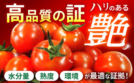 愛果菜ミニトマト9P×3セット / ミニトマト プチトマト トマト とまと / 諫早市 / 愛菜ファーム株式会社 [AHAK003]