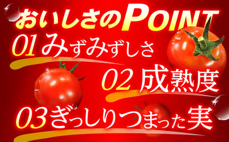 愛果菜ミニトマト9P×3セット / ミニトマト プチトマト トマト とまと / 諫早市 / 愛菜ファーム株式会社 [AHAK003]