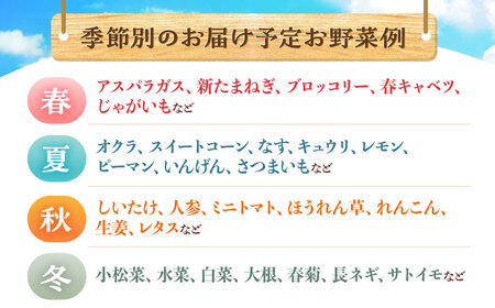 【全12回定期便】諫早産野菜の詰め合わせ 8〜9品目程度 / 野菜 やさい 旬野菜 旬 新鮮 詰合せ セット たまねぎ なす トマト れんこん きのこ 大根  / 諫早市 / 肥前グローカル株式会社  [AHDI003]