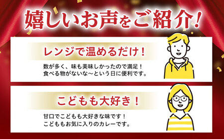 【小分け】【内袋のままレンジ調理可】日本ハム レストラン仕様カレー甘口10パックセット(1パック4袋入り)計40食分/ カレー かれー レトルト 牛肉 小分け / 諫早市 / 日本ハムマーケティング株式会社 [AHAL004]