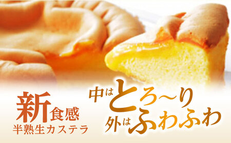 【話題のカステラ2種をご自宅で】半熟生カステラ・台湾カステラ お試しセット / カステラ かすてら 生カステラ 台湾カステラ / 諫早市 / 株式会社菓秀苑森長 [AHAG001]